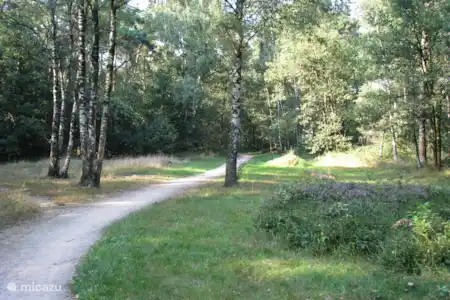 Vakantiehuis Nederland, Gelderland, Aalten chalet Chalet de Zwaluw omgeving