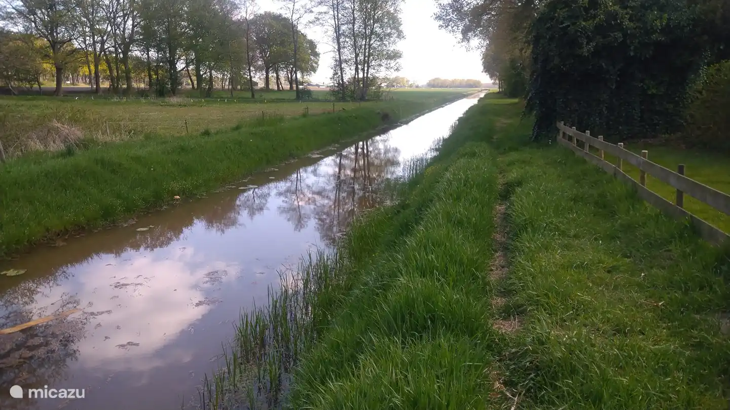 Un lugar fantástico justo al lado de la casa para pescar. El jardín está vallado para niños o perros.