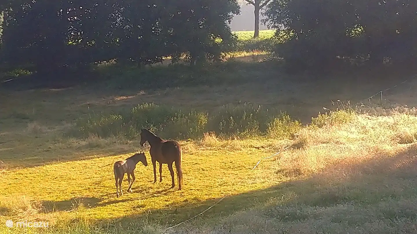 Tal imagen habla por sí sola. Esta vista nunca se vuelve aburrida.