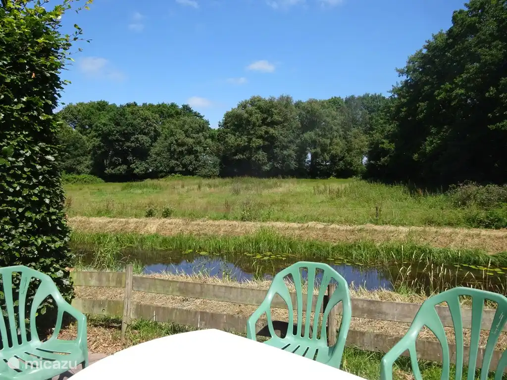 Al fondo la hermosa ribera arbolada, refugio de pájaros y caballos