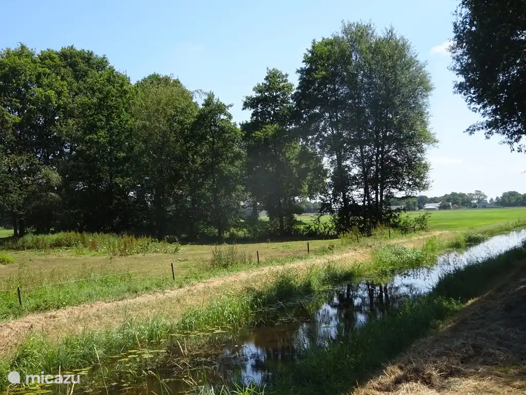 La sala de estar y la terraza ofrecen una vista amplia.