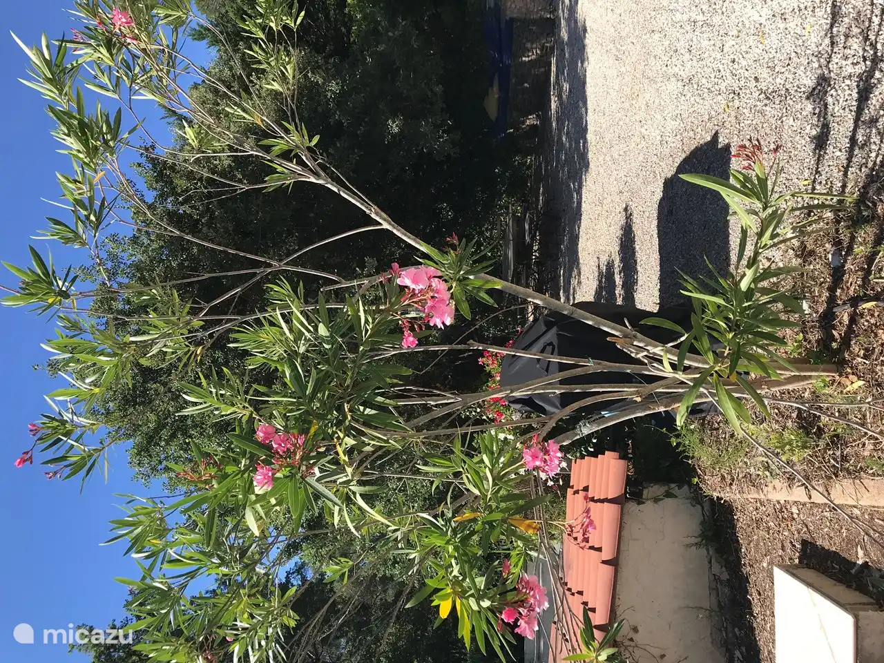 Oben an der Treppe zum Pool befindet sich eine zweite Terrasse. Schöner natürlicher Farbton den ganzen Tag. Bei toller Aussicht kann man hier auch grillen.
