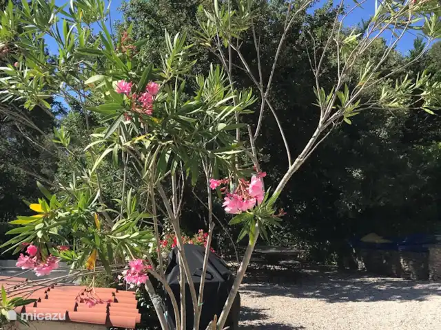 Villa Bellevue | France, Var, Sillans-la-Cascade - villa Il y a une deuxième terrasse sur la droite en haut des escaliers menant à la piscine. Merveilleuse ombre naturelle toute la journée. Vous pouvez également faire un barbecue ici avec une vue magnifique.