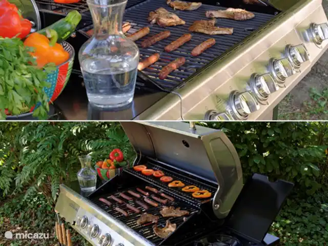 Villa Bellevue | France, Var, Sillans-la-Cascade - villa Barbecue à gaz de luxe.