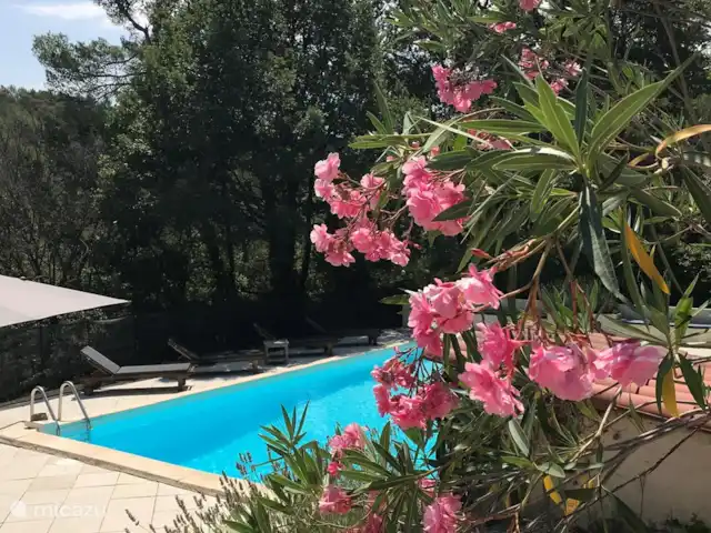 Villa Bellevue | France, Var, Sillans-la-Cascade - villa Vue sur la piscine depuis les portes coulissantes de la cuisine.