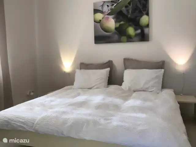 Villa Bellevue | France, Var, Sillans-la-Cascade - villa Chambre 1 (en bas)
Lit de luxe Auping 180 * 200 cm