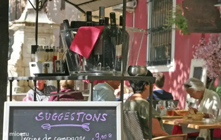 Restaurants, gemütliche Plätze, provenzalische Märkte. Alles ist in der Nähe. Sehr schön sind zum Beispiel die Dörfer Cotignac, Aups, TourTour und Lorgues zu besuchen.