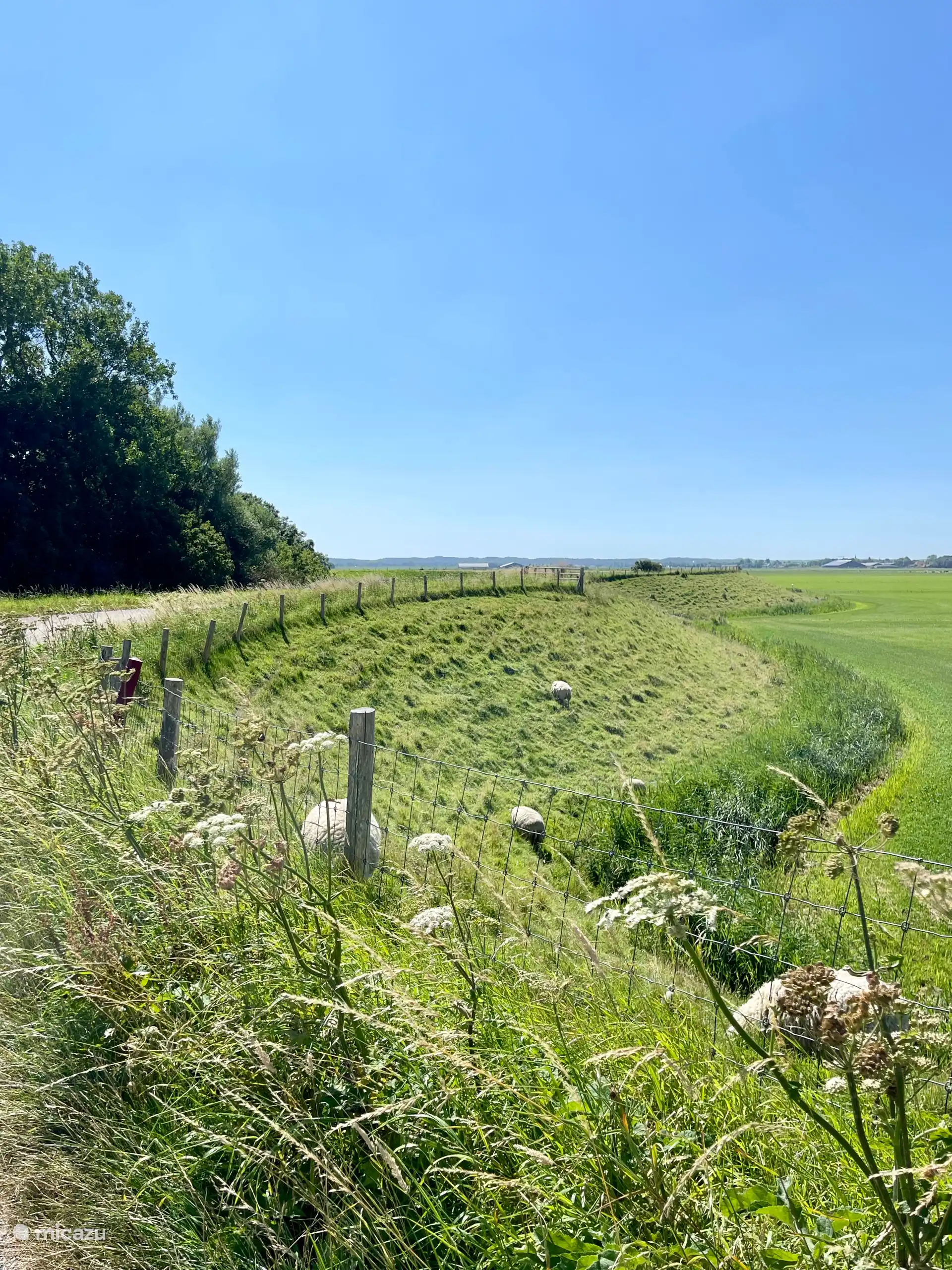 herrliches Radfahren auf dem Omringdijk