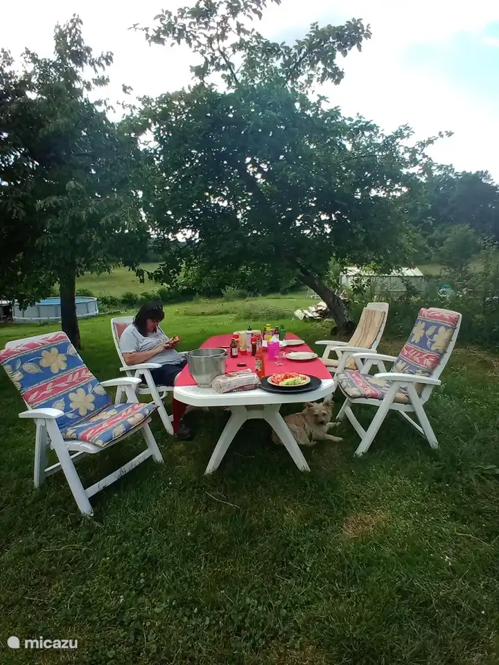 am Tisch im Schatten der Obstbäume