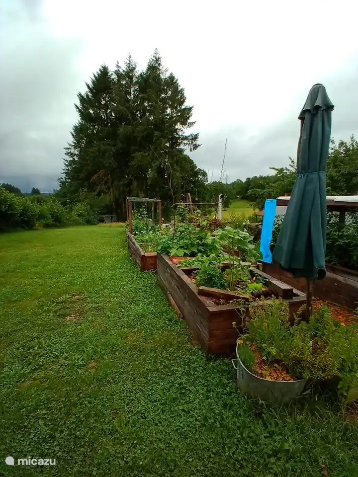 Gemüsegarten im Frühjahr