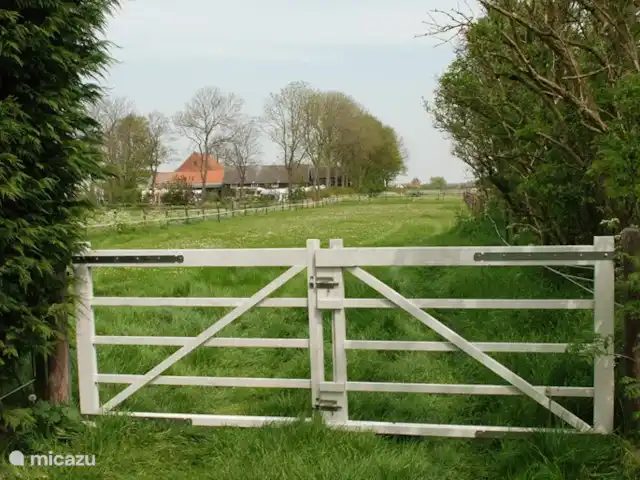 Au Westhoek | Pays-Bas, Zélande, Koudekerke - maison de vacances Le gîte est situé au calme à la campagne. A 4 km des villes de Middelburg et Vlissingen.
En bordure d'une magnifique réserve naturelle avec de nombreux itinéraires cyclables et pédestres. À distance de marche de la plage. (800m)