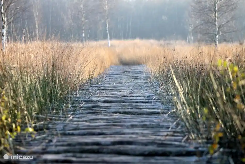 Engbertsdijkveen à Kloosterhaar,
Aussi belle région de randonnée où la tourbe était autrefois extraite pour le carburant.