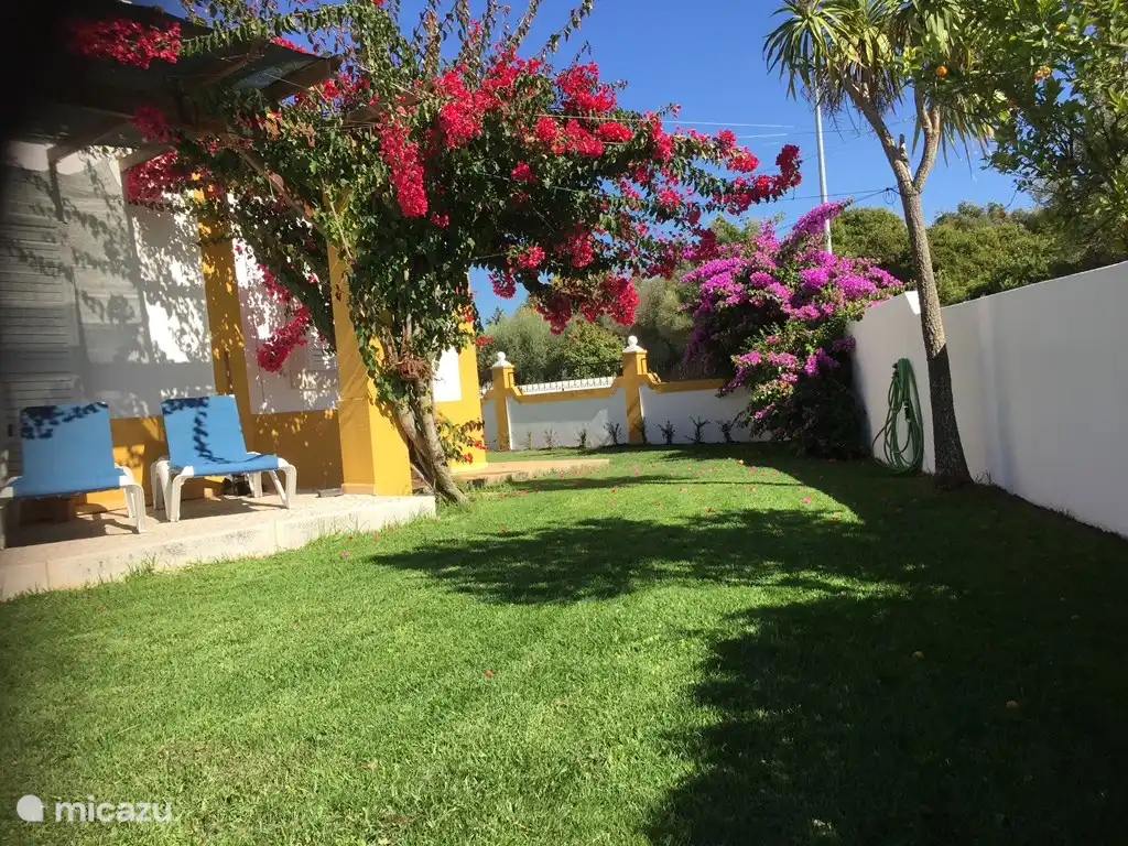 Der Garten auf der Rückseite des Hauses mit freiem Blick auf die Umgebung