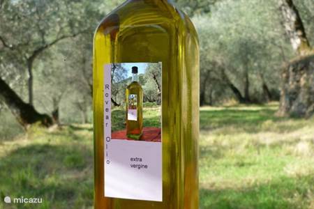 Onze eigen extra vergine olijfolie
