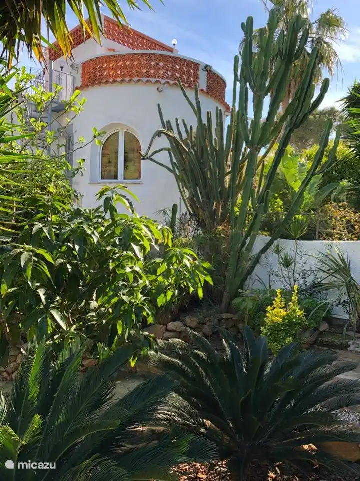 El jardín subtropical