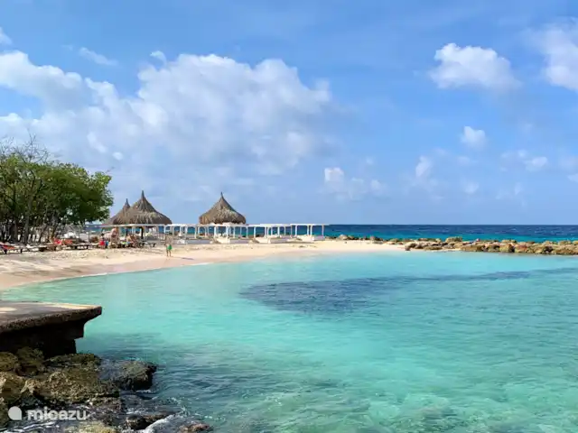 Villa supérieure Soleada, Vista Royal | Curaçao, Banda Ariba (est), Jan Thiel - villa La plage de Jan Thiel à distance de marche de la Villa Soleada !