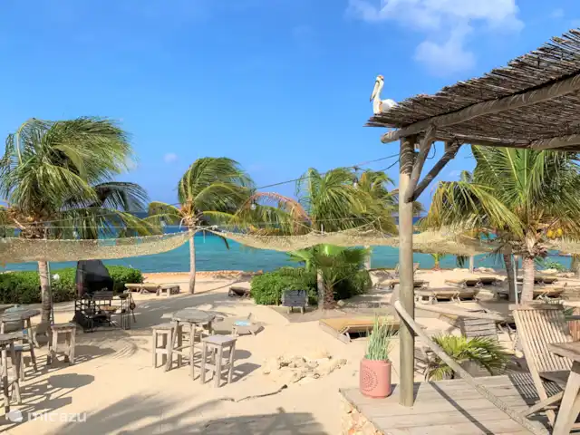 Villa supérieure Soleada, Vista Royal | Curaçao, Banda Ariba (est), Jan Thiel - villa Le restaurant Koko sur la plage de Jan Thiel