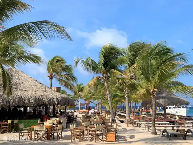 Villa supérieure Soleada, Vista Royal | Curaçao, Banda Ariba (est), Jan Thiel - villa Zanzibar sur la plage de Jan Thiel... à distance de marche de la Villa Soleada !