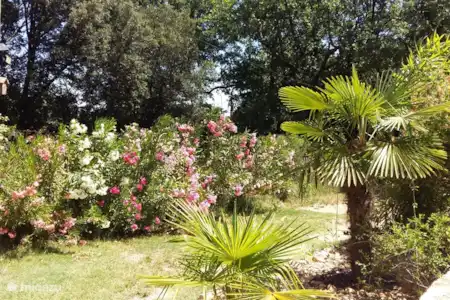 Vakantiehuis Frankrijk, Gard, Uzès vakantiehuis Histoire d'Yllias tuin