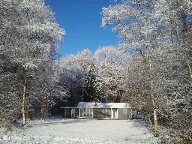Sprookjesachtig in de winter