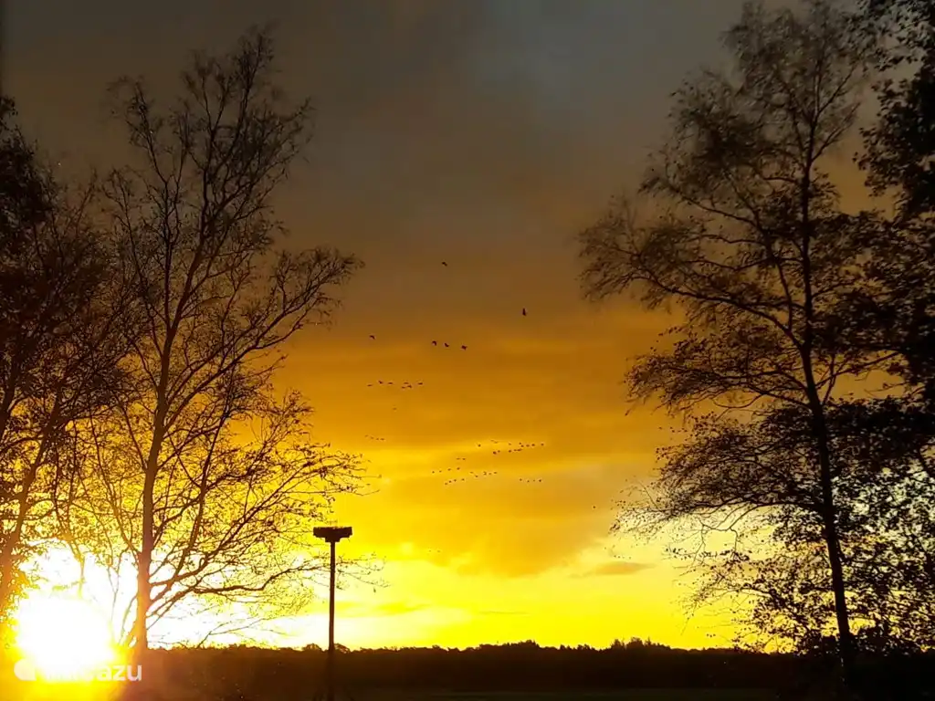 Zonsopgang vanuit het huisje gezien