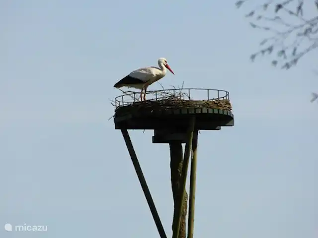 De Uithoek huren in Nederland, Drenthe, Doldersum - chalet Vaste passant