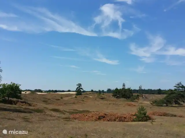 De Uithoek huren in Nederland, Drenthe, Doldersum - chalet Aekingerzand