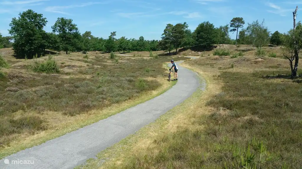 Aekingerzand richting Appelscha