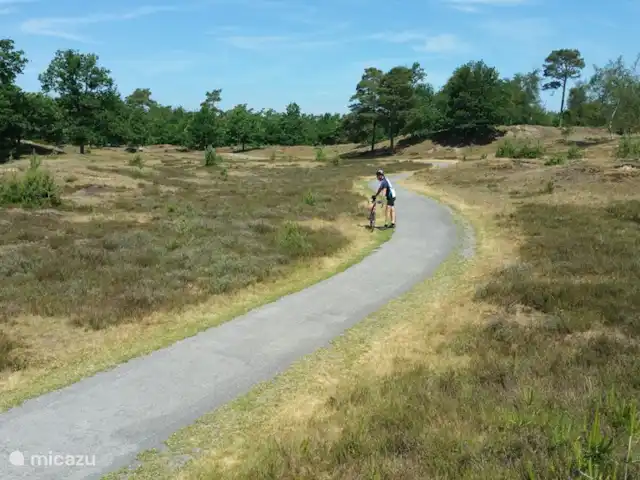De Uithoek huren in Nederland, Drenthe, Doldersum - chalet Aekingerzand richting Appelscha