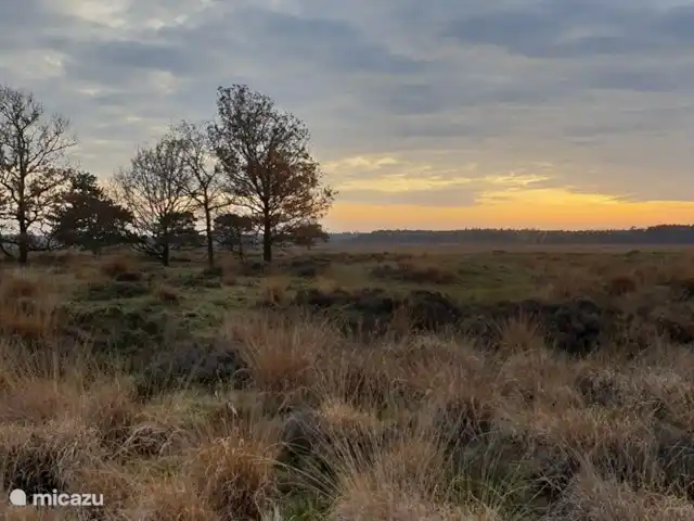 De Uithoek huren in Nederland, Drenthe, Doldersum - chalet Doldersummerveld