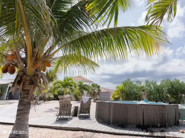 studio huren in Bonaire, Bonaire, Belnem – Kas Oleifi