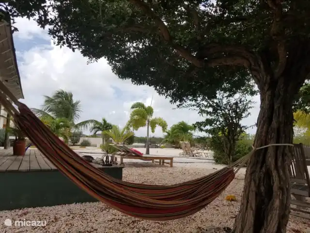 studio huren in Bonaire, Bonaire, Belnem – Kas Oleifi hangmat