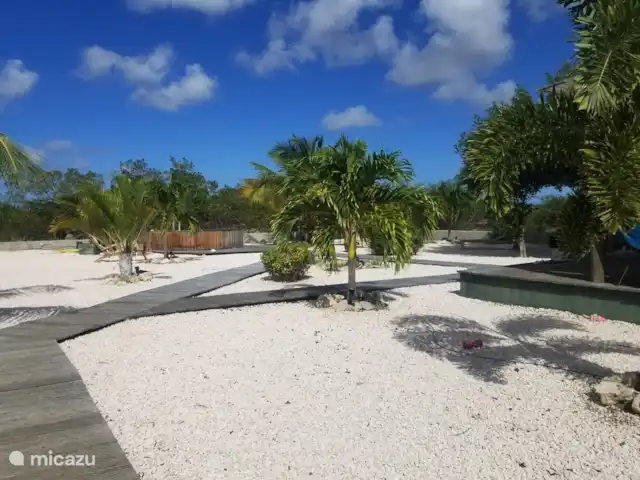 studio huren in Bonaire, Bonaire, Belnem – Kas Oleifi de tuin