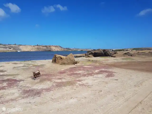 studio huren in Bonaire, Bonaire, Belnem – Kas Oleifi bonaire vuurtoren gebied