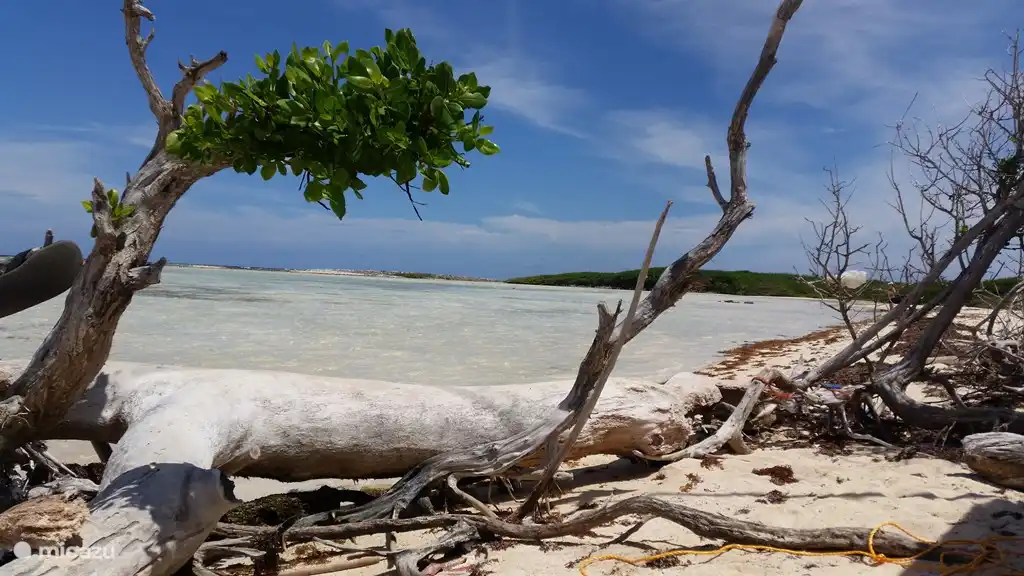 Bonaire depuis la côte