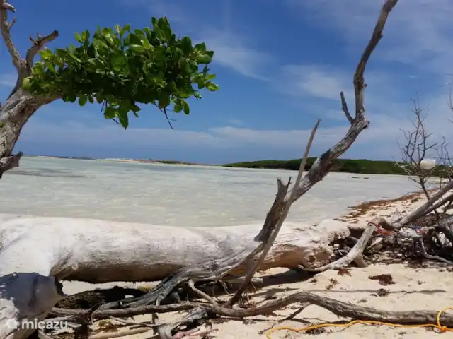 studio huren in Bonaire, Bonaire, Belnem – Kas Oleifi Bonaire vanaf de kust