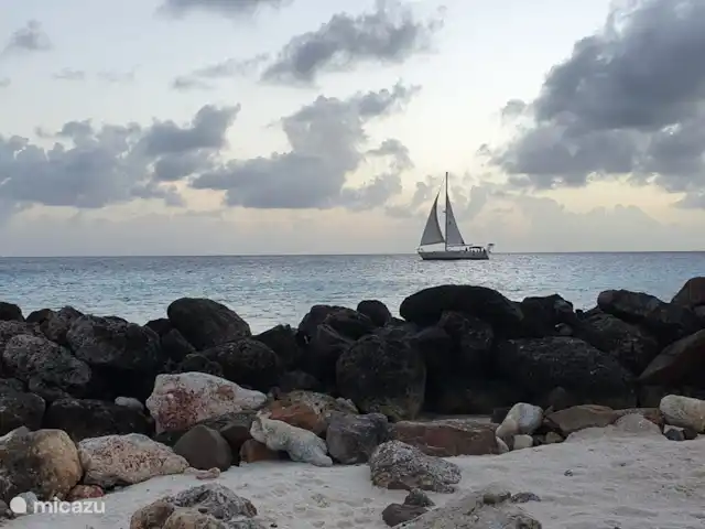 studio huren in Bonaire, Bonaire, Belnem – Kas Oleifi zeiltrip voor de kust