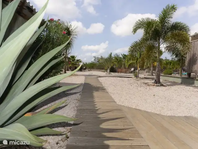 studio huren in Bonaire, Bonaire, Belnem – Kas Oleifi