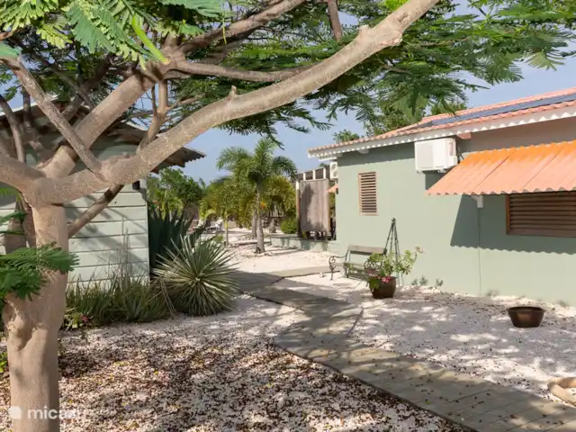 studio huren in Bonaire, Bonaire, Belnem – Kas Oleifi