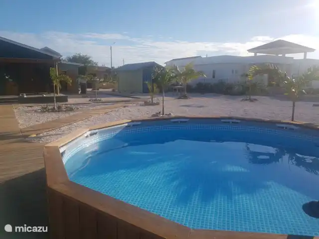 studio huren in Bonaire, Bonaire, Belnem – Kas Oleifi zwembadje