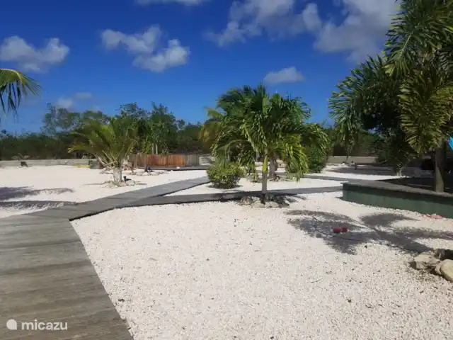 studio huren in Bonaire, Bonaire, Belnem – Kas Oleifi tuin
