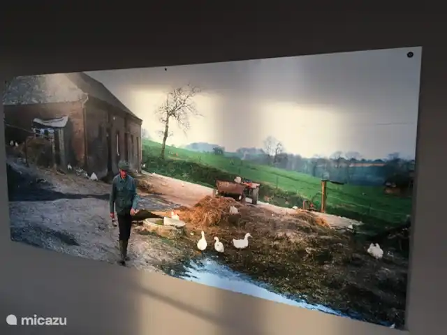 La Vieille Ferme - La Fermette | France, Ardennes françaises , Liart - ferme La vieille ferme en activité - photo des années 80 au siècle dernier