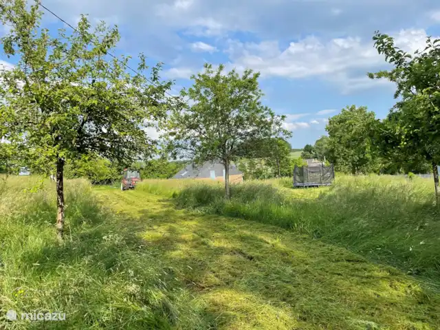 La Vieille Ferme - La Fermette | France, Ardennes françaises , Liart - ferme Verger avec trampoline où le tracteur doit contrôler régulièrement l'herbe...