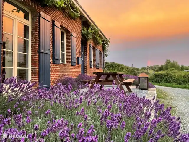 La Vieille Ferme - La Fermette | France, Ardennes françaises , Liart - ferme La Fermette en lumière du soir, avec de la lavande mais sans filtre... Vraiment :)