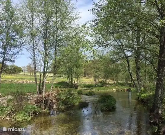 Der Rio Vouga direkt hinter unserem Haus. 