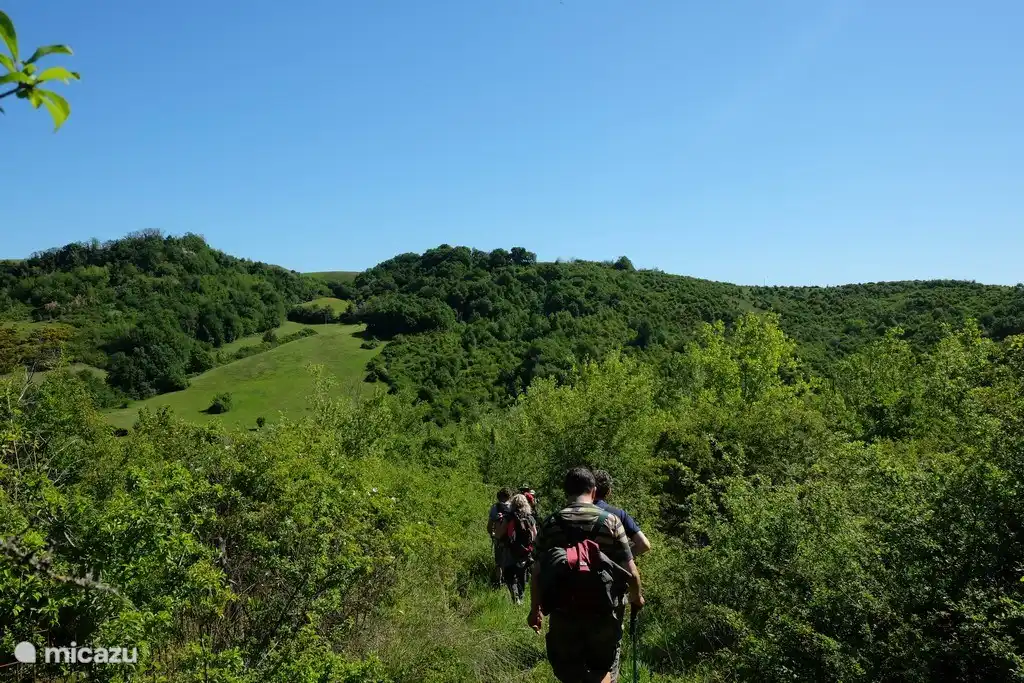 Heerlijk wandelen. Er zijn in Sogliano al Rubicone 16 gemarkeerde wandelpaden. Een app. met de wandelpaden zijn beschikbaar om een zogenaamde Selfguided wandeling te maken.