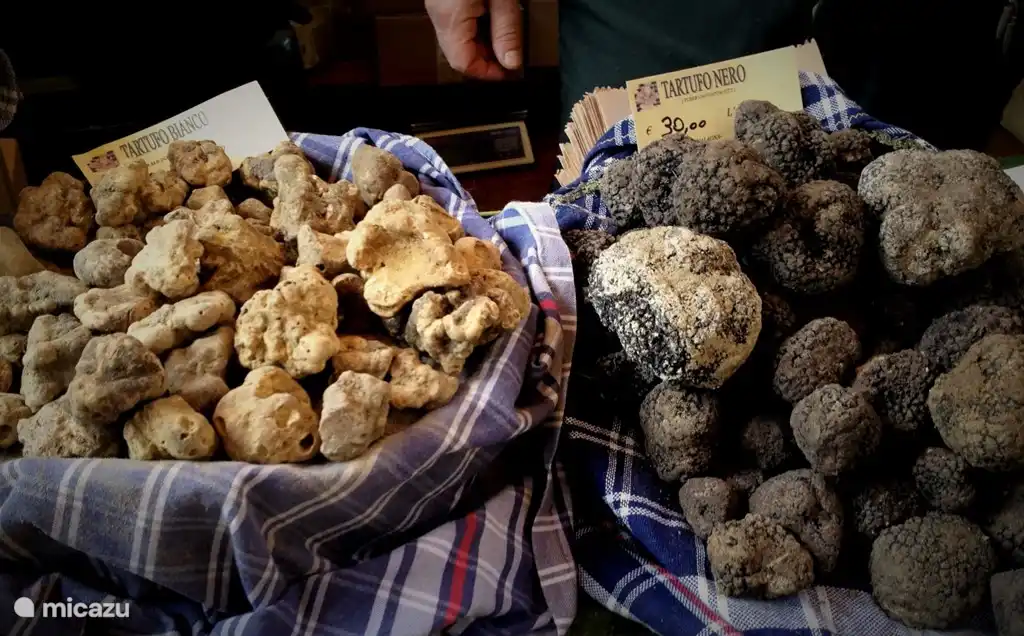 In oktober is er volop truffel. Wit en zwart. Elke zondag is er een truffelmarkt. Een heerlijk uitstapje in de herfstvakantie. Wij boeken graag een truffelmaaltijd voor je.