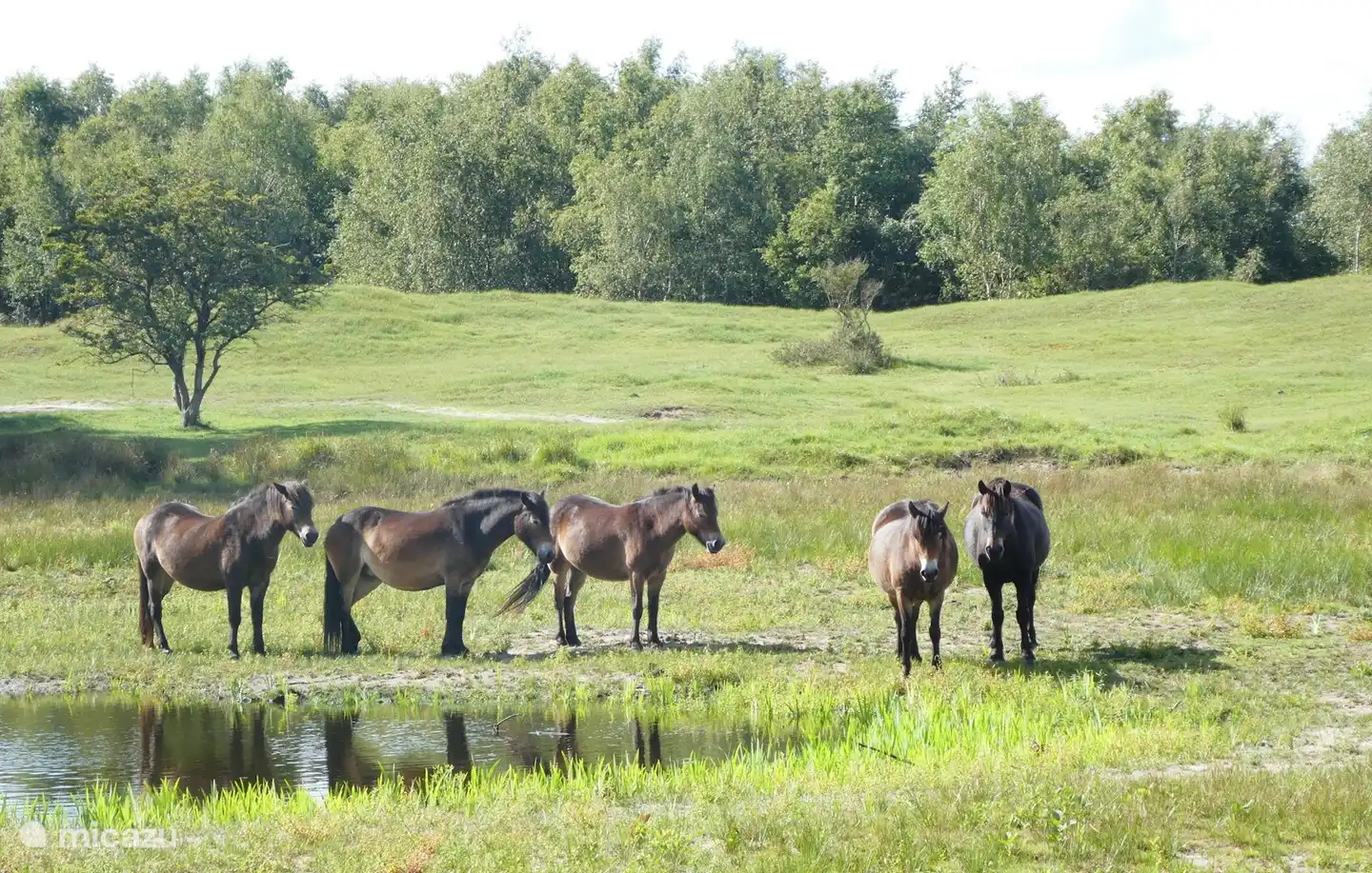 La réserve naturelle à 5 minutes à pied