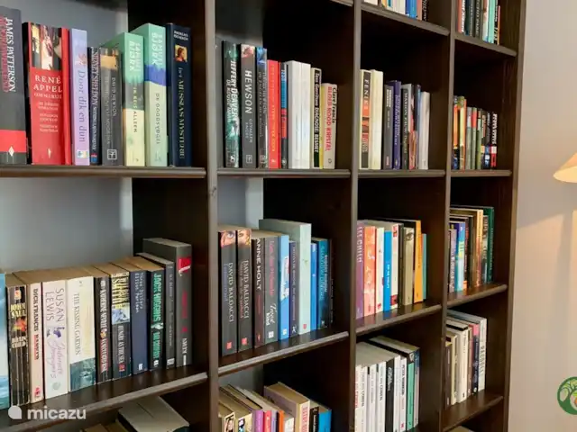 Villa Laranjeira en Portugal, Algarve, Albufeira - villa Muchas docenas de libros en holandés, alemán e inglés disponibles