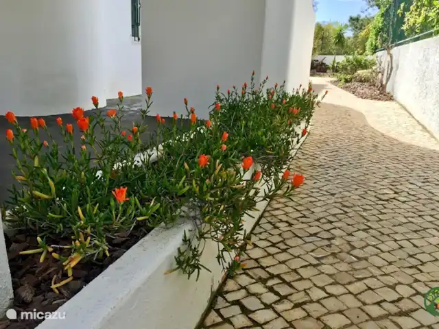 Villa Laranjeira en Portugal, Algarve, Albufeira - villa Camino a la pequeña terraza